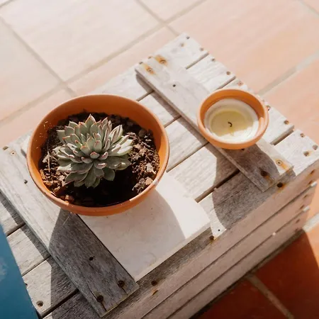 Nana House Ericeira - Yoga & Surf