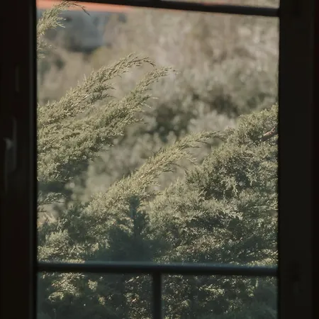 Nana House Ericeira - Yoga & Surf *