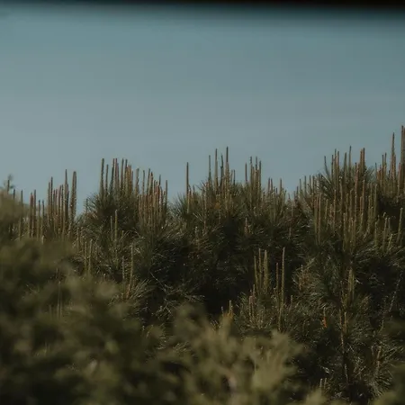 Nana House Ericeira - Yoga & Surf *