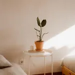 Lodge Nana House Ericeira - Yoga & Surf