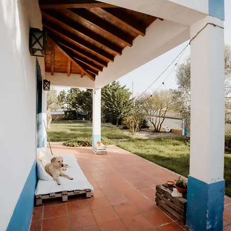 Nana House Ericeira - Yoga & Surf Lodge *