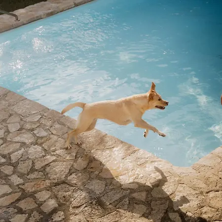 Nana House Ericeira - Yoga & Surf Santo Isidoro