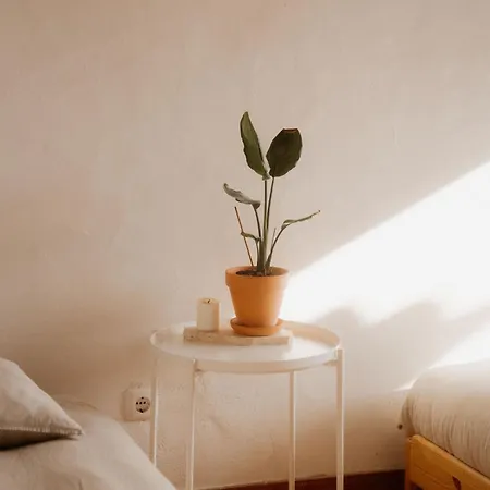 Lodge Nana House Ericeira - Yoga & Surf