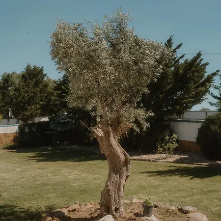 Nana House Ericeira - Yoga & Surf Lodge Santo Isidoro
