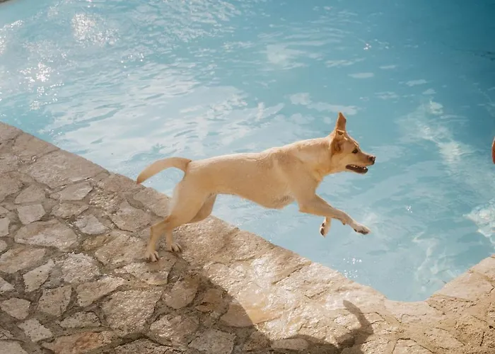 Nana House Ericeira - Yoga & Surf Santo Isidoro