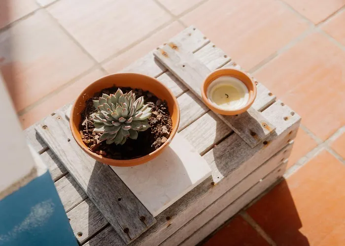 Nana House Ericeira - Yoga & Surf