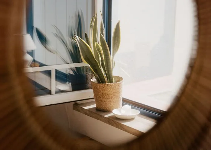 Orman Evi Nana House Ericeira - Yoga & Surf Santo Isidoro