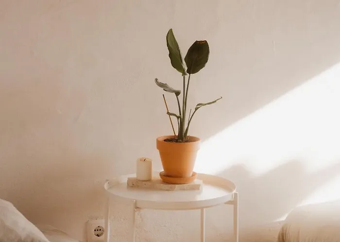 אכסניה Nana House Ericeira - Yoga & Surf