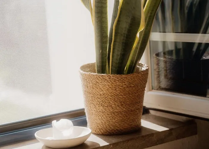 Nana House Ericeira - Yoga & Surf * Santo Isidoro