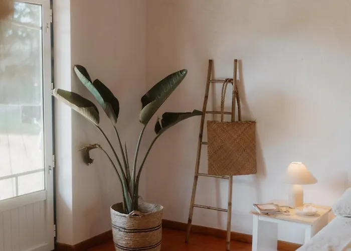 Nana House Ericeira - Yoga & Surf