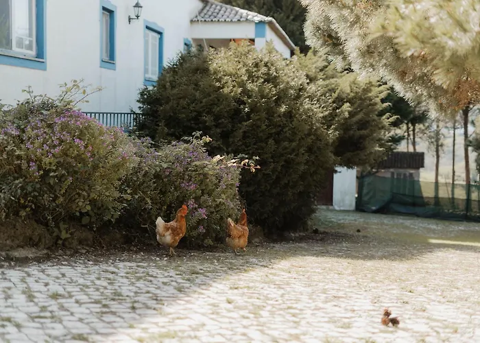 אכסניה Nana House Ericeira - Yoga & Surf Santo Isidoro