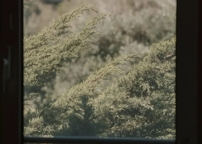 אכסניה Nana House Ericeira - Yoga & Surf Santo Isidoro