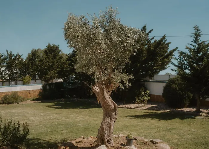 Nana House Ericeira - Yoga & Surf אכסניה Santo Isidoro